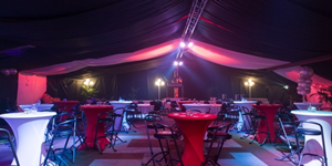 winnter-themafeest
