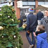 Wandelende Kerstboom