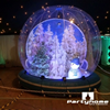 Snowglobe