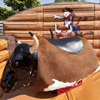 Rodeostier