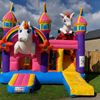 Unicorn springkussen