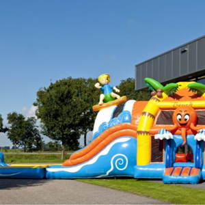 Beach Slide