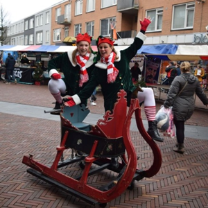 Kerstelfjes met arreslee