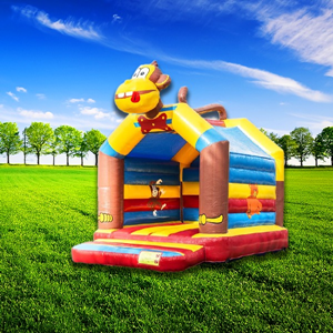 5 x 4 meter springkussen aap