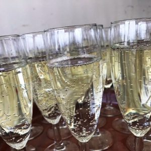 Champagneglas per 25 st.