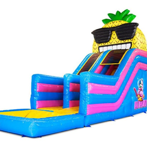Hawaii glijbaan met zwembad