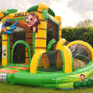 Mini Jungle Slide