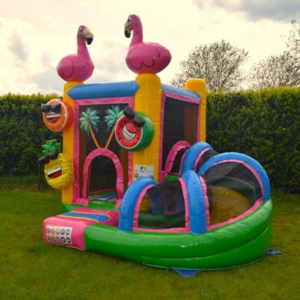 Mini Flamingo Slide