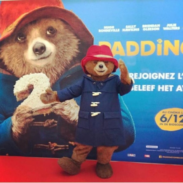 beetje peddington meet en greet beertje peddington boeken met meet en greet