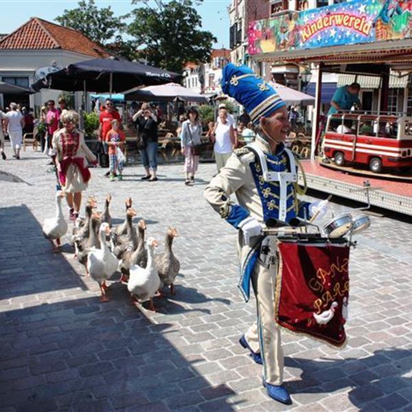 ganzenparade boeken als fanfare
