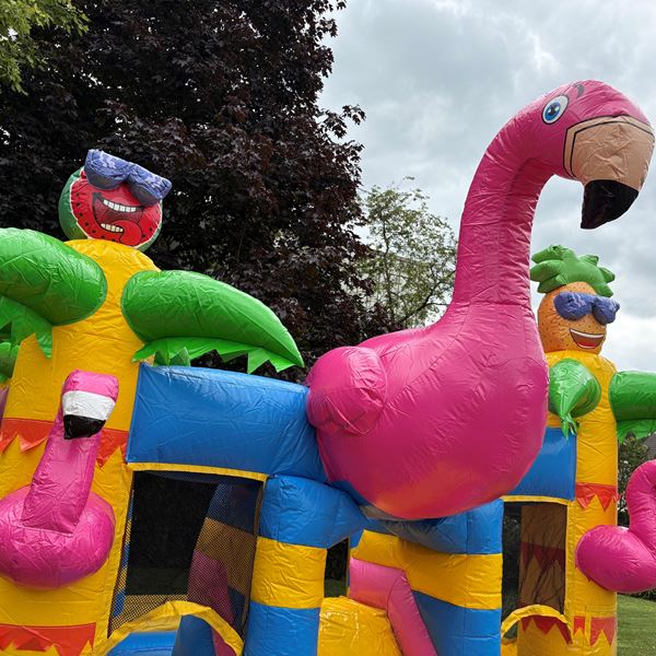 mini multiplay flamingo kleine multiplay flamingo